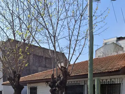 25 de mayo 300