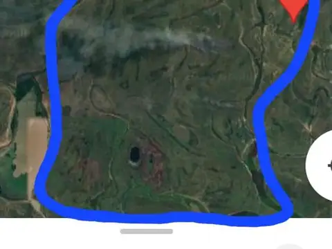 Isla Ganadera en San Javier