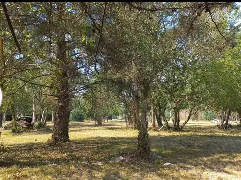 Venta de lotes en barrio cerrado Las Alondras, Villa Elisa