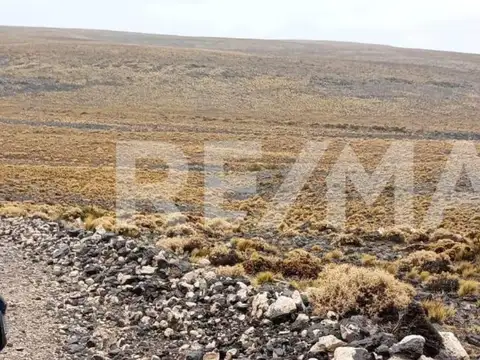 VENTA CAMPO - VALCHETA - RIO NEGRO