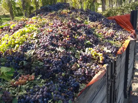 Quinta en Venta con 1 cochera