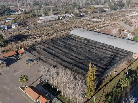 Galpon en Alquiler 20 años