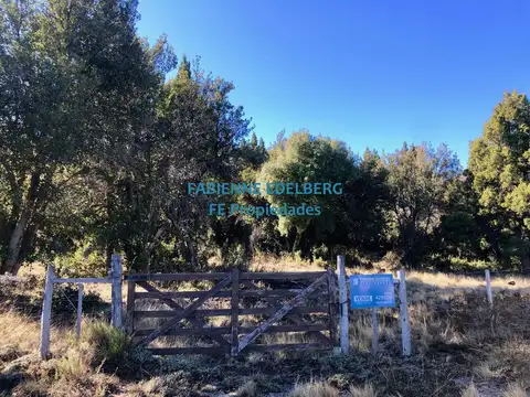 Terreno con vistas al lago Meliquina 1000 m2 posibilidad de lotes linderos tambien - Villa Meliquina