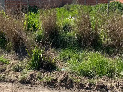 LOTE EN VENTA EN GUERNICA, PRESIDENTE PERON.