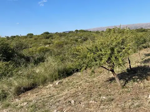 Terreno en Venta de 1000,0 m2