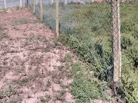 Terreno en Venta 16  mts Fondo