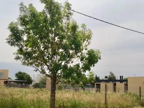 Terreno en Venta en Punta Chacra, USD 27.000