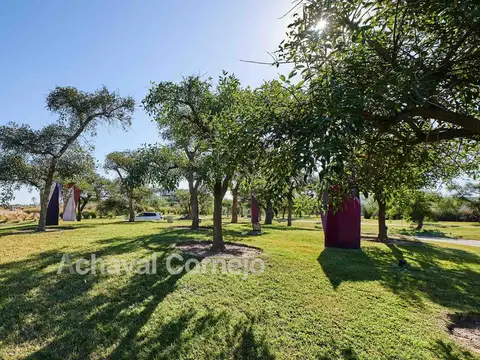 Terreno en Venta en Puertos, USD 195.000
