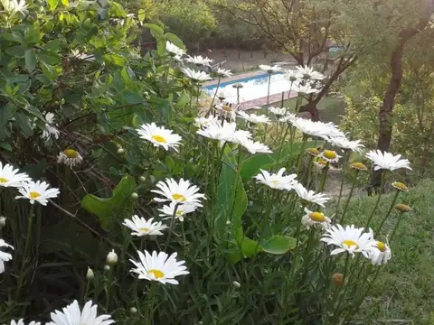 Hotel en Venta en El Pantanillo, USD 330.000