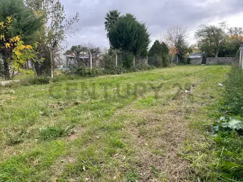 Aritobulo del valle 800, Piso 0