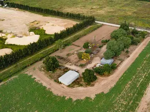 Campo con Casa de tres dormitorios en Fighiera 