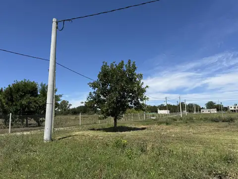 Terreno en  Venta Los Cerezos 1, Los Hornos 