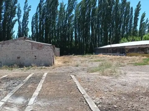 Galpon en Alquiler en Allen, USD 8.000