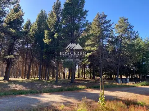 Terreno en Venta en Dina Huapi, USD 95.000