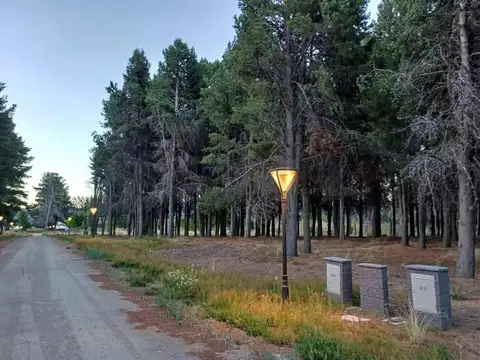 Excelente lote en Villa de Miguel, DIna Huapi con salida al lago Nahuel Huapi