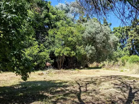 Espectacular Lote parquizado en Carmel C.C.