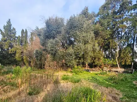 Terreno en Venta 41  mts Fondo