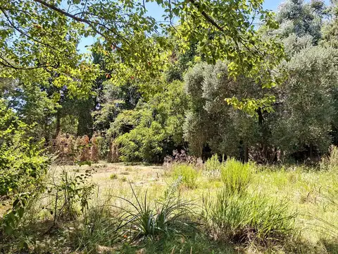 Terreno en Venta en Carmel Country Club, USD 93.000