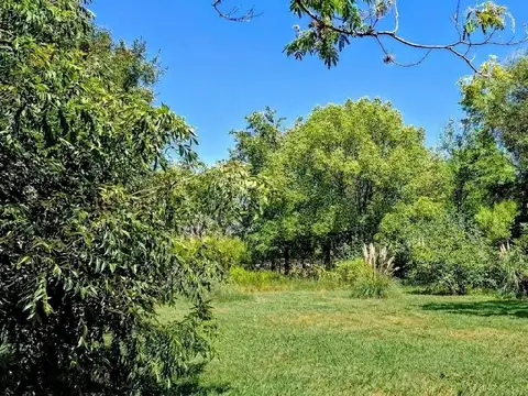Espectacular Lote parquizado en Carmel C.C.