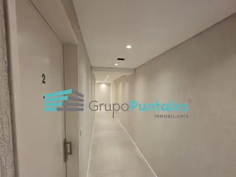 Marinao Castex al 1600