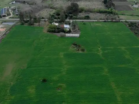 Camino El Gallo