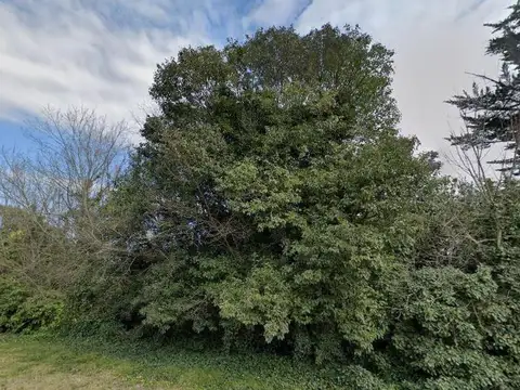 Terreno en venta - 1.084Mts2 - Mar del Plata