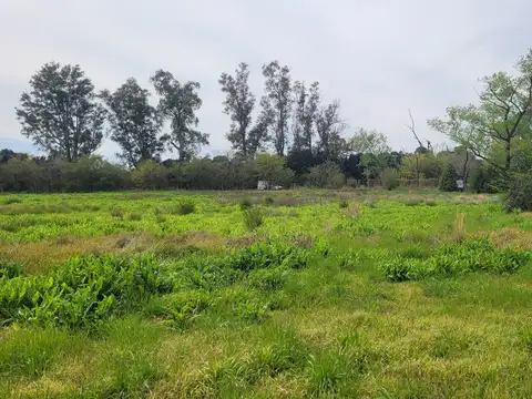 Terreno en Alquiler 200  mts Fondo