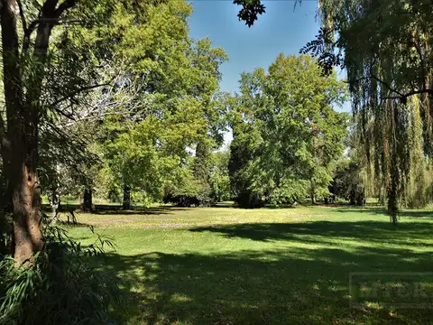 Terreno de 1500 mts. en Tortugas C.C.