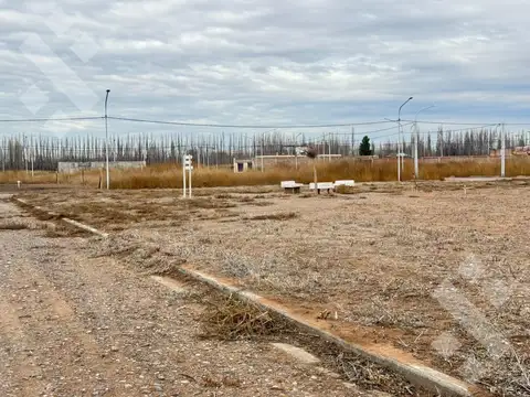 Terreno en Venta en Plottier, Confluencia