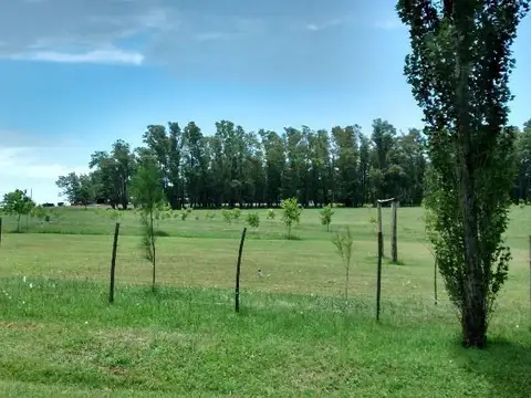 Campo en Venta con Alambrado