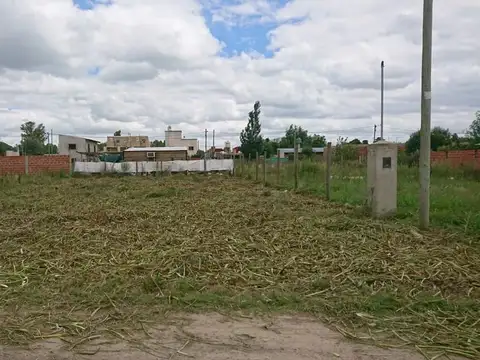 Ibarra