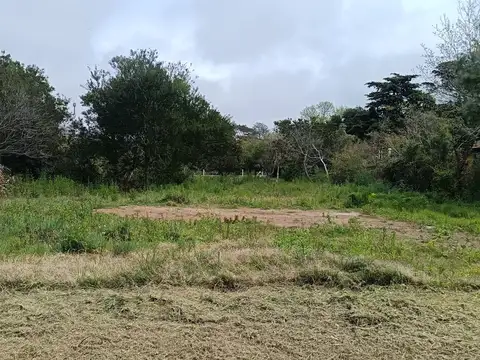 Terreno en Venta de 779,0 m2