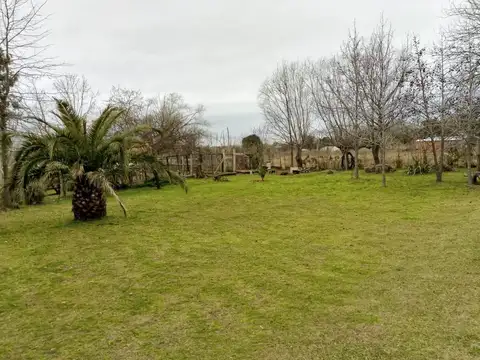 Terreno en Venta por lotes o completo zarate