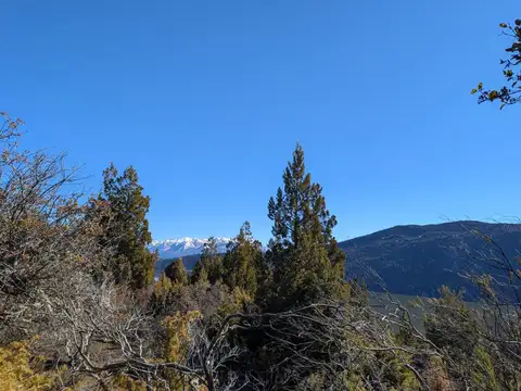 Terreno 1 ha en bosque nativo, vista Lago Mosquito