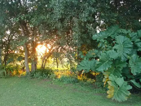 Campo en Villa Maria