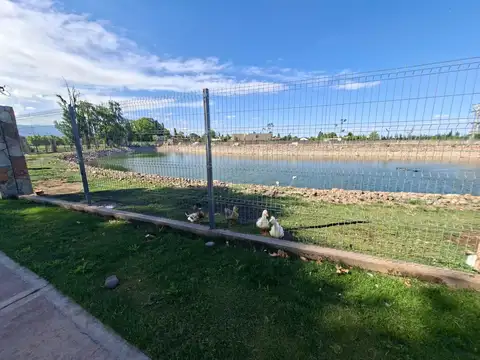 Viamonte Qvattro