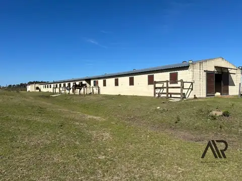 Venta Establecimiento de Haras con boxes
