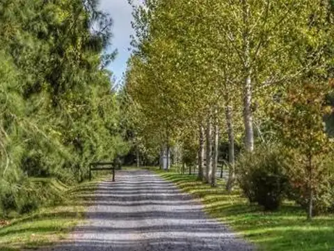 Terreno en Venta de 1000,0 m2