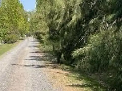 Terreno en Venta 50  mts Fondo