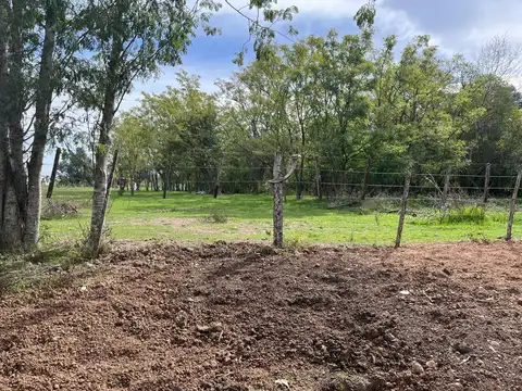 Terreno 1555 m2 - Arturo Seguí - La Plata