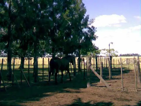 RUTA NACIONAL 205 KM 74