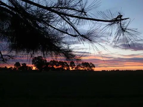 RUTA NACIONAL 205 KM 74