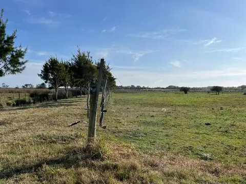 La Mansa Ruta 74 S/N, Pinamar, Pinamar, Buenos Aires