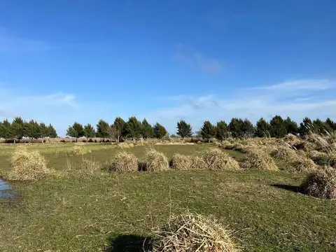 CHACRA LA MANSA