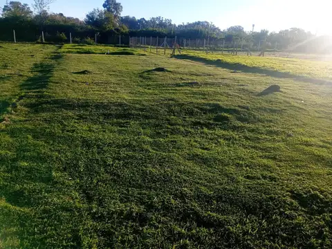 Terreno en Venta de 240,0 m2