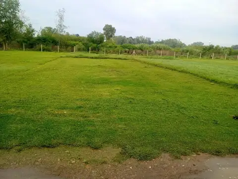 ORR. Oportunidad de Lote en barrio abierto con escrituras. 