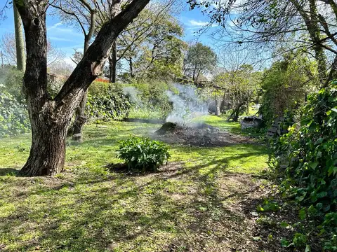 Terreno en Venta 33  mts Fondo