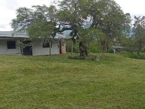 Ruta Provincial 305 100