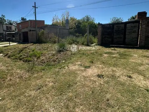 Pintos 100