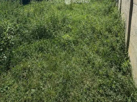 Terreno - Venta - Argentina, Brandsen